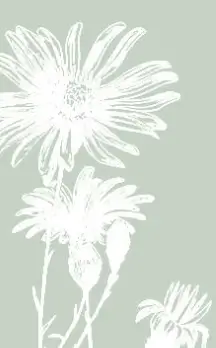 Gray Digital Marketing Flower